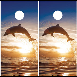 Ocean Scene with Dolphin