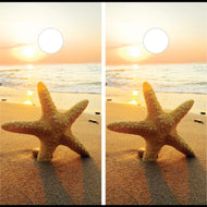 Beach Scene with Starfish